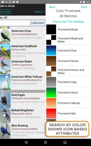 iBird Lite - Preview 9