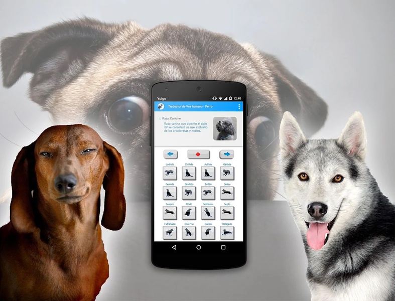 TranslateDog - Preview 5