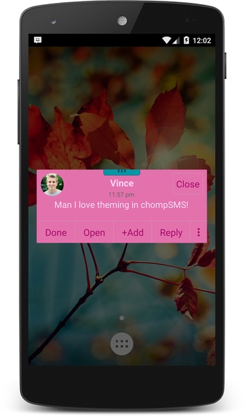 Pink Zebra Theme (chomp) - Preview 1