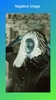 Negative Image screenshot 13