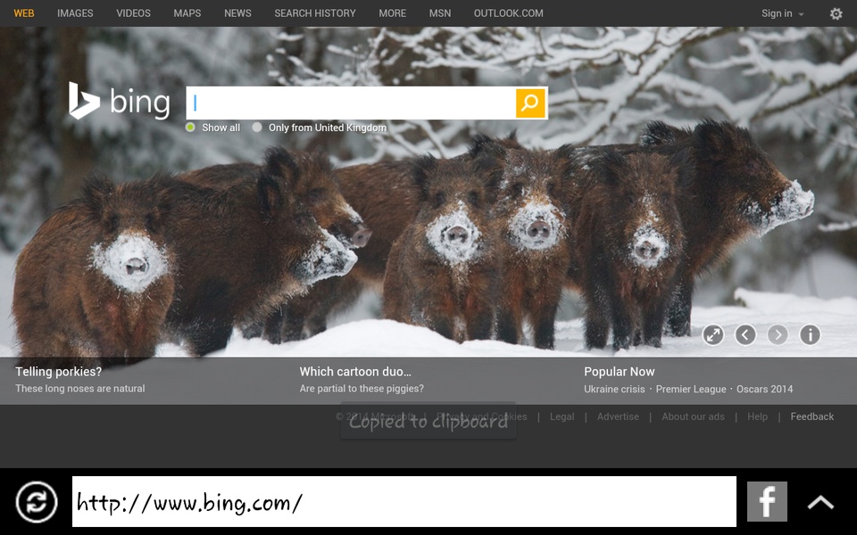 Pc Browser2 - Preview 3