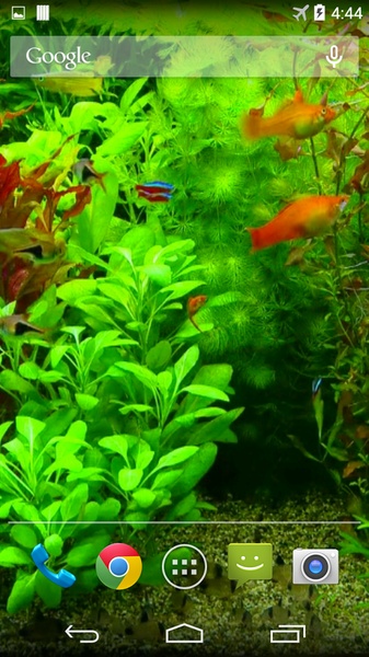 Real Aquarium 3D Wallpaper - Preview 2