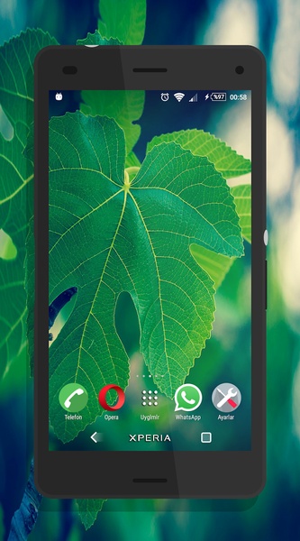 Halla Green Theme - Preview 5