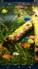 Aquarium Fish Live Wallpaper screenshot 3