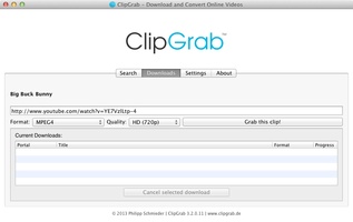 ClipGrab screenshot 3