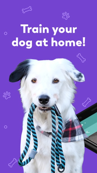 Puppr - Preview 8