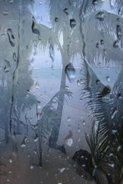 Beach Rain Sounds - Preview 1