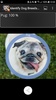 Identify Dog Breeds Pro screenshot 3