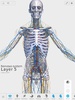 V. Anatomy screenshot 11