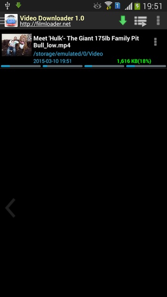 VideoDownloader - Preview 3