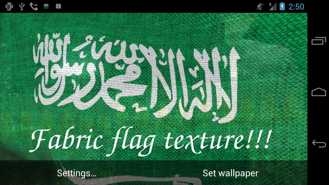 3D Saudi Arabia Flag LWP - Preview 2