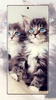 cat wallpaper screenshot 14