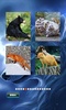 Animals Jigsaw Puzzle screenshot 9