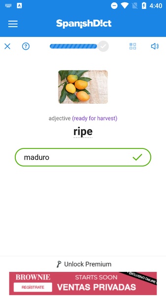 SpanishDict - Preview 7