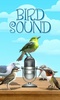 Bird Sound and Picture screenshot 5