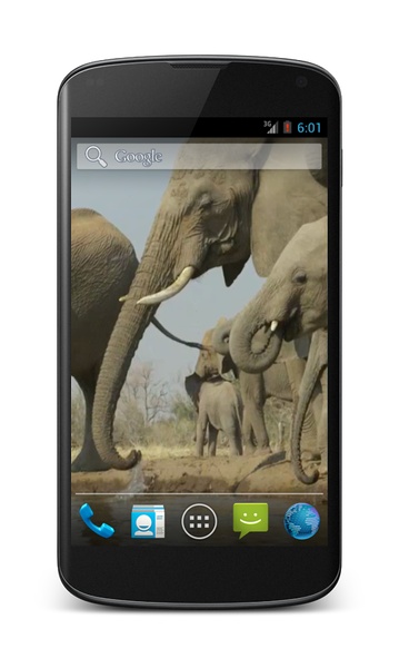 Elephant Video Wallpaper - Preview 1