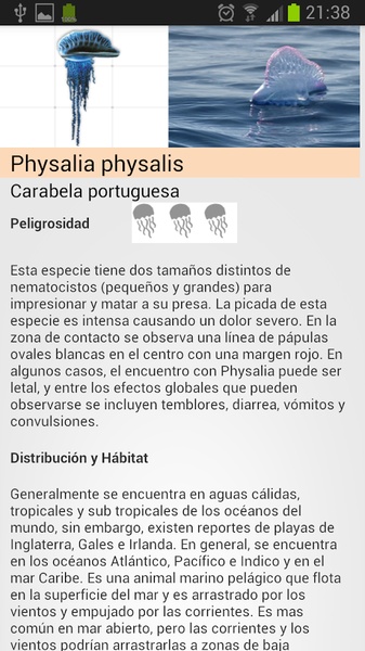iMedJelly - Preview 3