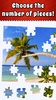 Jigsaw Puzzle Bug screenshot 13