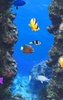 Aquarium screenshot 3