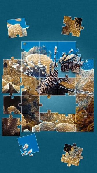 Under the Sea Jigsaw Puzzles - Preview 14