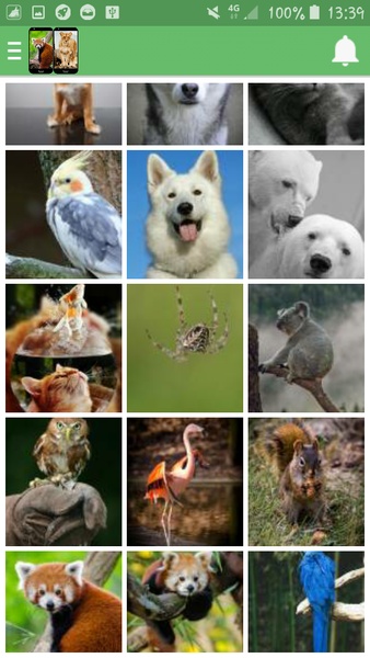 Animal Wallpapers - Preview 1