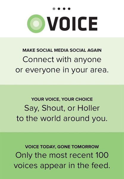 Voice - Preview 8