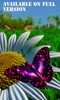 Schmetterling X screenshot 7