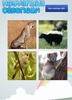 Hayvanları Öğrenelim (Türkçe) screenshot 1