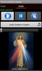 The Divine Mercy Chaplet screenshot 2