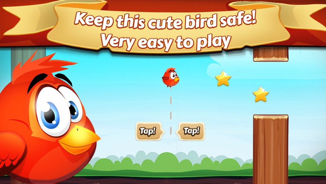 Cute Bird - Preview 5