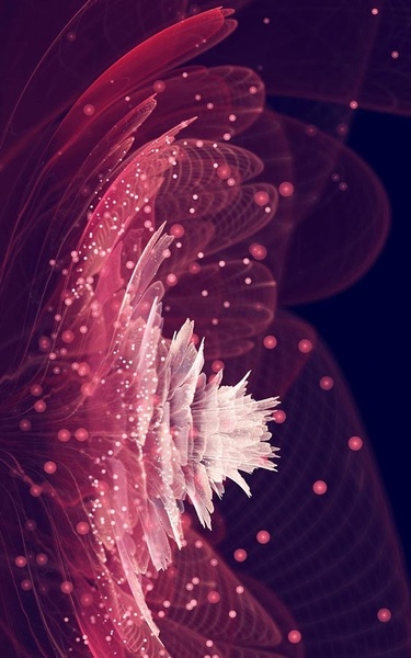 Shining Flowers Live Wallpaper - Preview 5