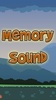 Memory Sound screenshot 6