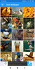 Duck Wallpaper: HD images, Free Pics download screenshot 8
