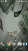 Flying Dollars Live Wallpaper screenshot 1