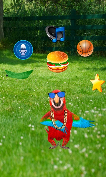 Real Talking Parrot - Preview 8