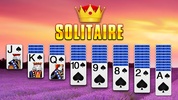 Spider Solitaire-card game screenshot 23