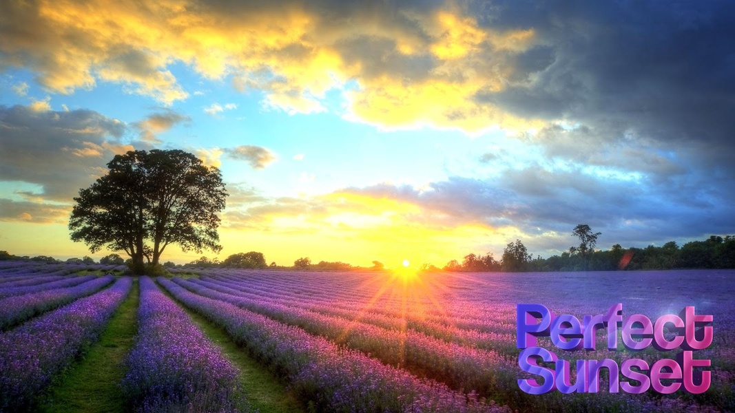 Perfect Sunset Live Wallpaper - Preview 2
