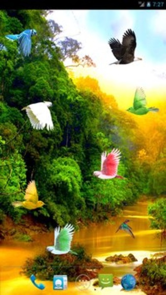 Forest River - Preview 5