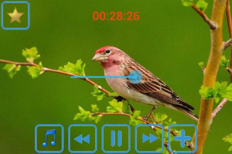 Nature sounds relax and sleep - Preview 7