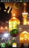 ALLAH Imam Reza Shrine HQ LWP screenshot 3