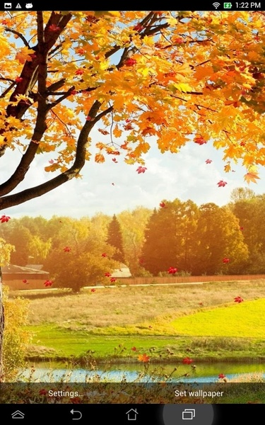 Falling Leaves Live Wallpaper - Preview 5