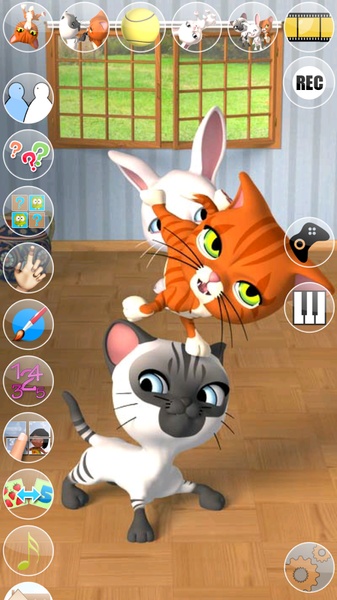 Talking 3 Friends Cats & Bunny - Preview 3
