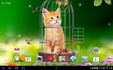 Cat and Hummingbirds Wallpaper screenshot 1