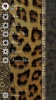 Cheetah screenshot 1