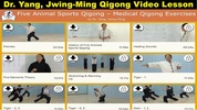 Five Animals Qigong (YMAA) screenshot 10