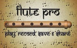 Flute Pro screenshot 4