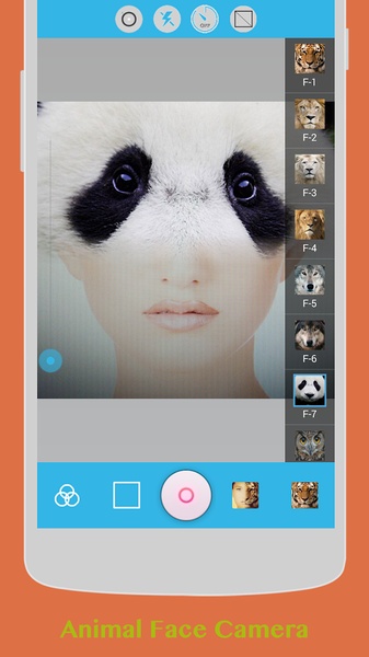 Insta Face - Preview 18