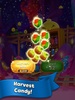 Candy Harvest Blast screenshot 2