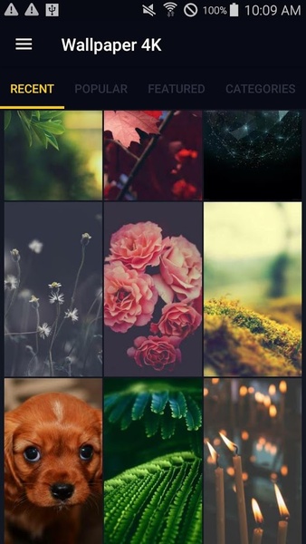 Wallpaper 4K- Background Ultra High Definition - Preview 2