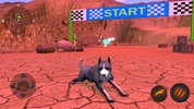 AmStaffs Dog Simulator screenshot 5